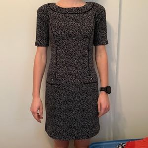 White House|Black Market black and white dress